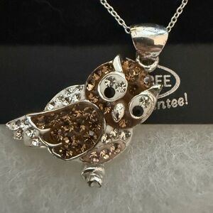 Elegant Silver and Brown Owl Pendant Necklace gemstone trendy cool sterling IOB